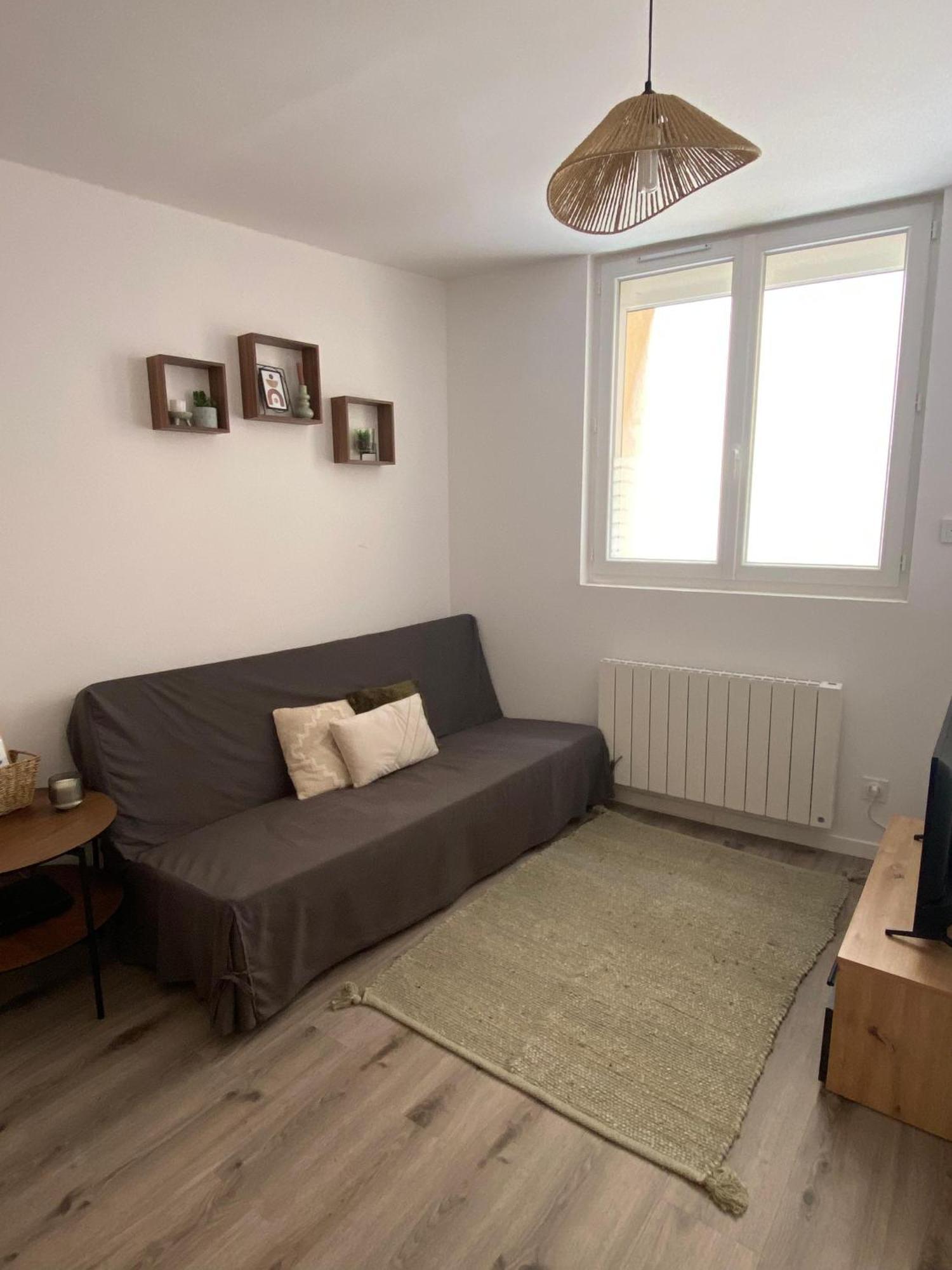 Appartement Proche Cnpe Et Pipa Saint-Denis-en-Bugey Εξωτερικό φωτογραφία
